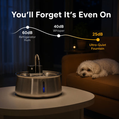 Wireless Dog Fountain