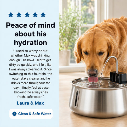 Wireless Dog Fountain